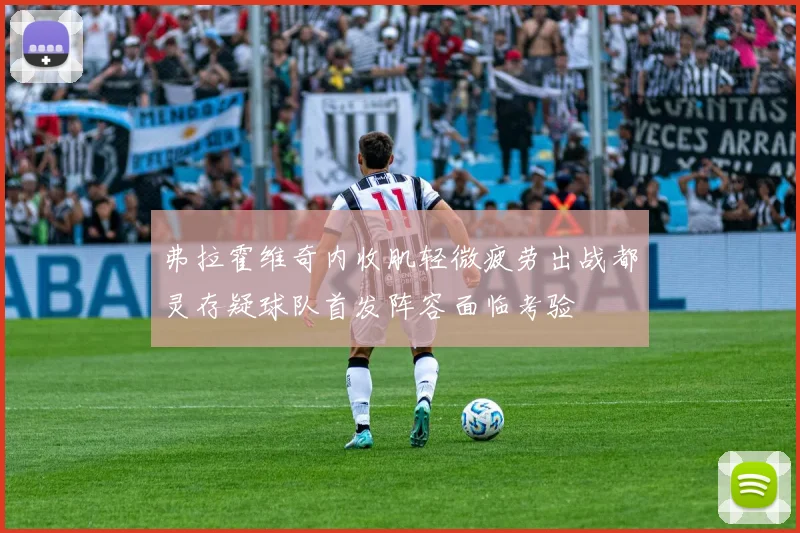 弗拉霍维奇内收肌轻微疲劳出战都灵存疑球队首发阵容面临考验